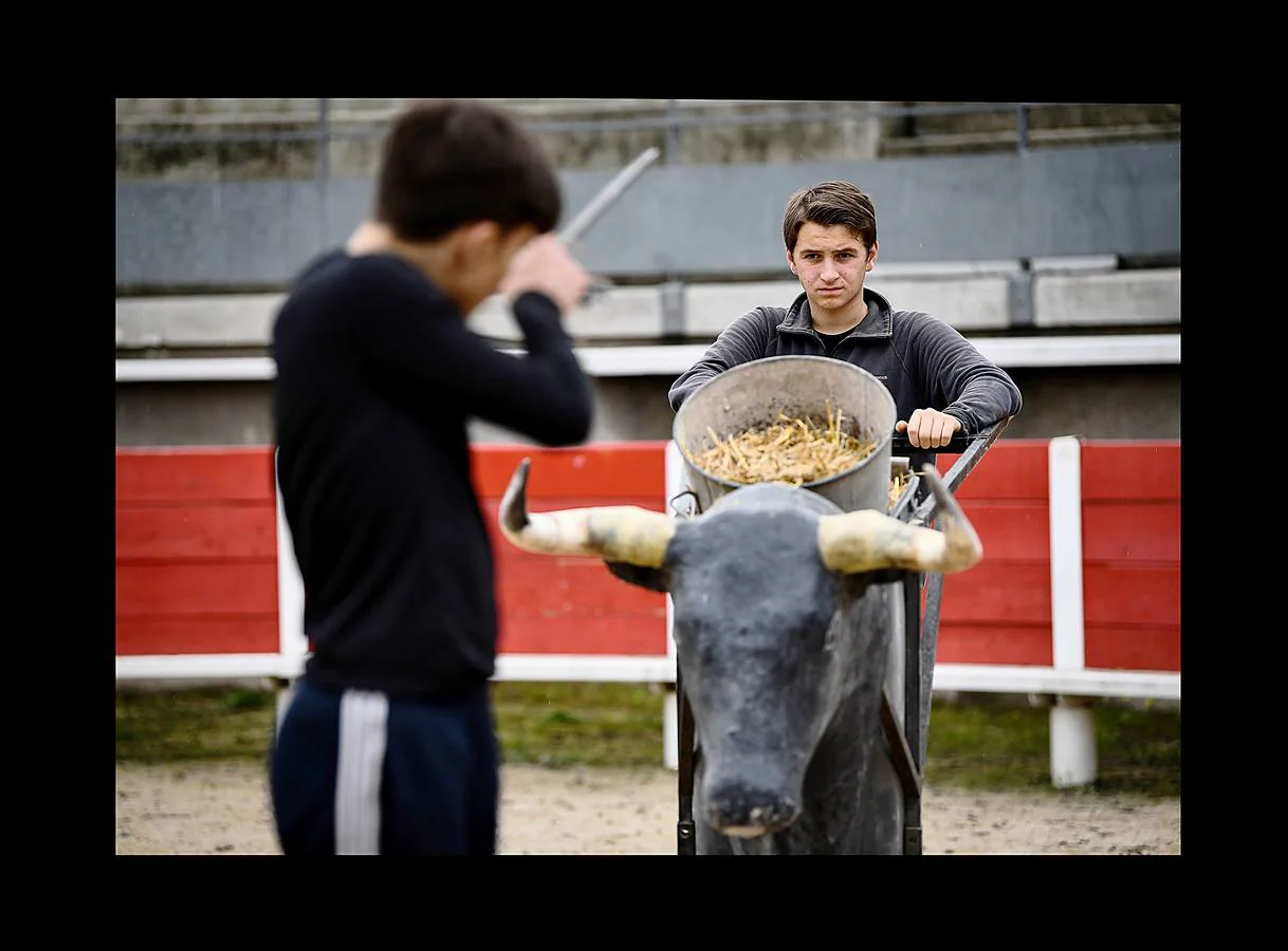 Parte de la vida en las pequeñas ciudades de la Camarga, en Francia, gira en torno a los toros y cada pueblo tiene su propio festival taurino en verano, con corridas y muchos eventos en las calles. En Le Cailar, una localidad en el distrito de Nimes, un monumento funerario recuerda con una fotografía a «Le Sanglier,» un toro de lidia, que vivió entre 1916 y 1933. El Centro Francés de Tauromaquia sigue cultivando la pasión por la tauromaquia, y cada miércoles y sábado organiza una práctica con jóvenes aficionados en la placita de Garons, cerca de Nimes. Las fotografías han sido tomadas en esta localidad y en Franquevaux.