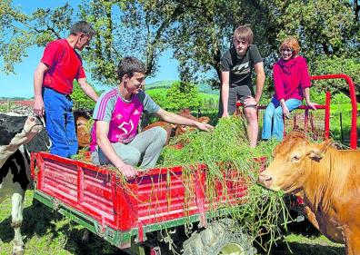 Imagen secundaria 1 - 1. Patricia Guitérrez en el invernadero de La Gilda del Norte en Lezama| 2. Jornada de una edición anterior. 3. Una niña acaricia a un ternero de una explotación ganadera de Irun.