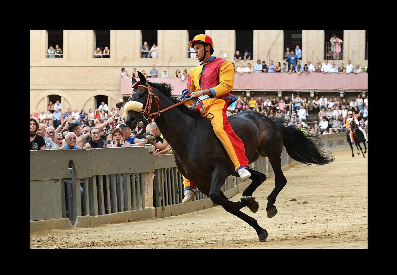 En la Piazza del Campo, en pleno corazón de Siena, en la Toscana, se celebra cada año, en dos ocasiones (las fotografías se tomaron el 2 de julio), la carrera de caballos de origen medieval conocida como «Il Palio.» La ciudad se engalana con estandartes, blasones y guirnaldas para celebrar tres días de alegría durante los cuales, además de participar en las bendiciones de los animales, es posible disfrutar de música y conciertos. En la carrera participan diez caballos, que representan a alguna de las «contradas» o distritos de la ciudad, y han de dar tres vueltas completas a la Piazza del Campo. El primero en terminarlas, con o sin jinete, será el ganador.