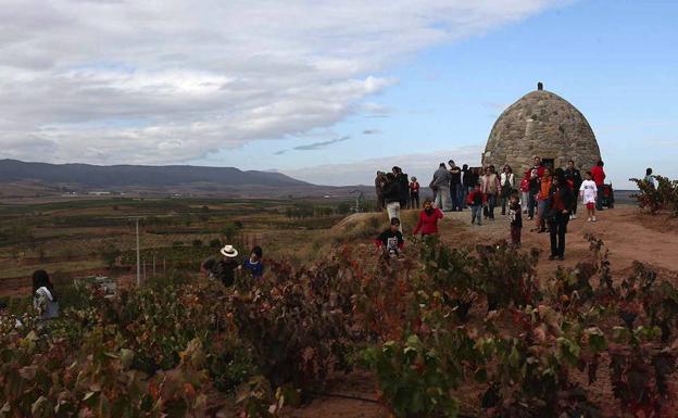 Un grupo de visitantes pasea por los viñedos de David Moreno