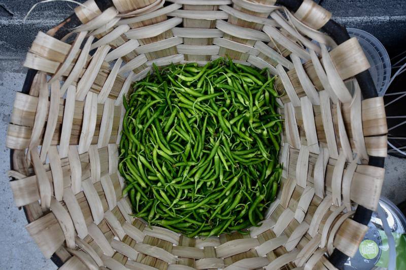 Imagen secundaria 2 - «Las guindillas pican cuando se estresan»