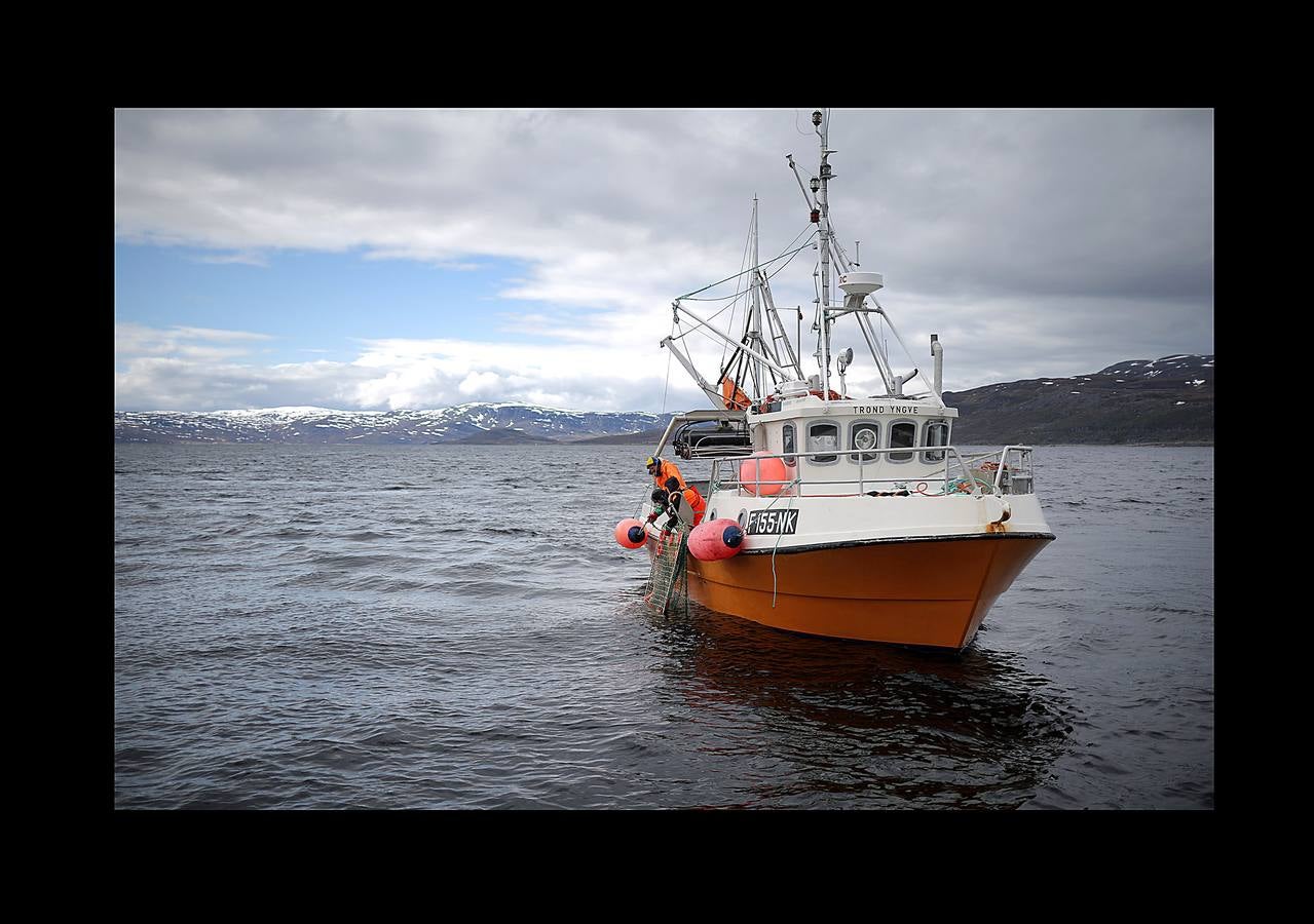 Cuando no está en la tundra ártica con sus 2.000 renos, su perro y Whitney Houston en los auriculares, Nils Mathis Sara trata de explicar cómo una mina de cobre amenaza su sustento. Junto con otros pastores y pescadores, este hombre de 60 años se encuentra en un momento clave con los propietarios de la mina y funcionarios noruegos. El cambio climático (las temperaturas promedio en el Ártico han aumentado más de 2 grados, el doble de rápido que el promedio mundial) y la tecnología, están generando una explosión en el desarrollo industrial de la región, que amenazan las formas de vida tradicionales y crean tensiones entre sus 4 millones de habitantes.