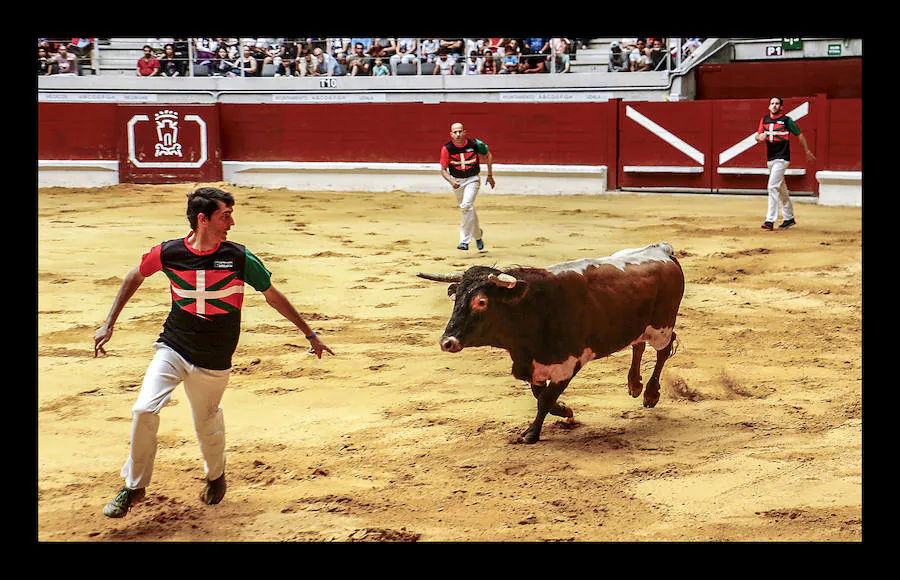 La ofrenda floral, las dianas, la carrera de barricas, las vaquillas... Un sinfín de actividades han servido para divertir a los vitorianos durante este 25 de julio