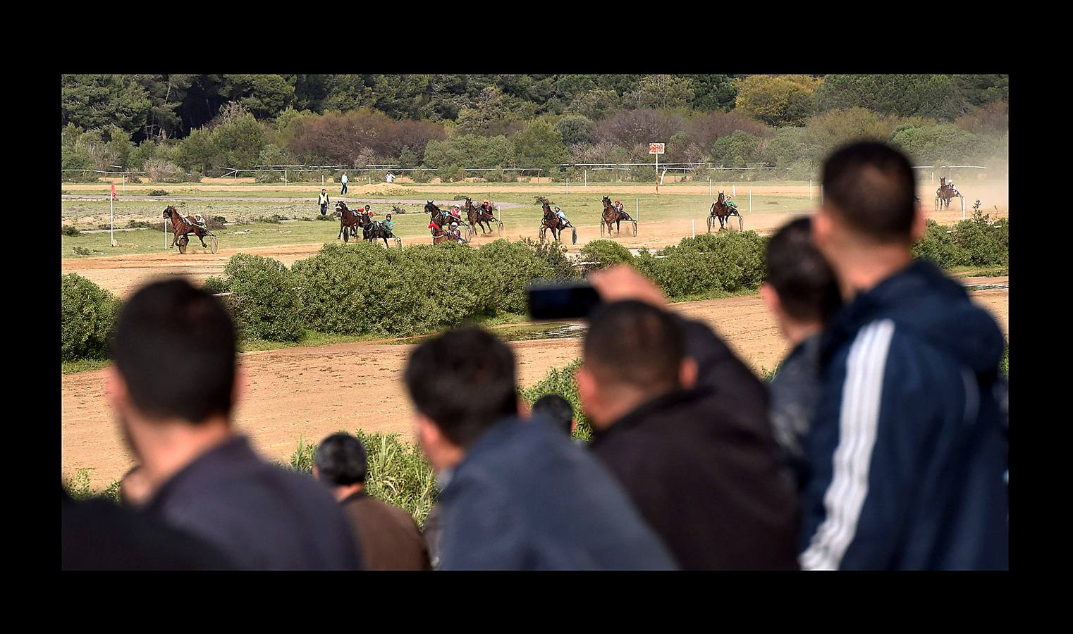 Hasta comienzos de la década de 1980 todos los fines de semana el hipódromo Caroubier, en Argel, recibía la visita de numerosos apostadores y espectadores entusiastas. Pero la equitación ha ido languideciendo en el país y el estadio, cuyas primeras carreras se remontan a 1909, durante la colonización francesa, fue perdiendo esplendor. La guerra civil en los 90 y el aumento del sentimiento religioso acabaron convirtiendo las pistas de carreras en lugares de pecado donde el juego estaba prohibido. Poco queda de un recinto que fue conocido como el «Petit Longchamp» en referencia a su homólogo parisino.