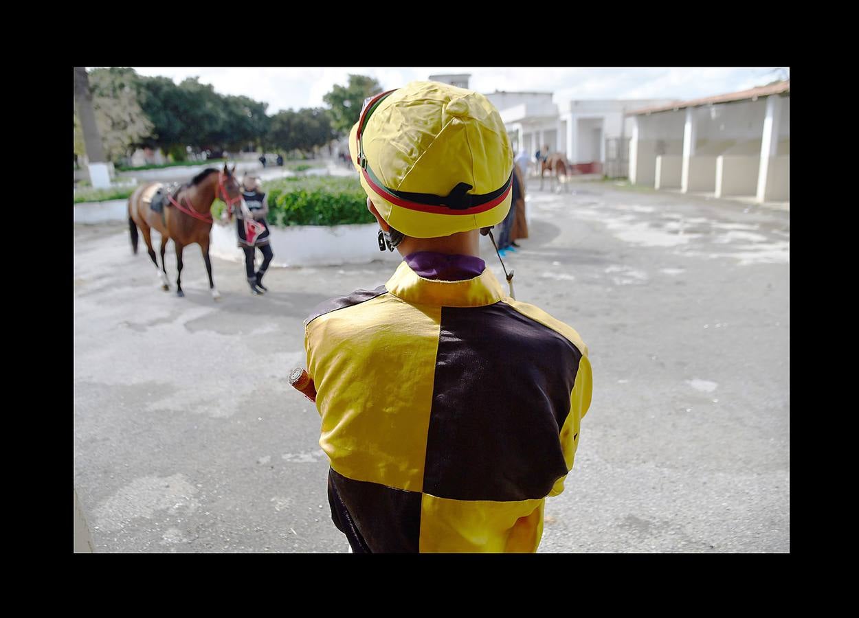 Hasta comienzos de la década de 1980 todos los fines de semana el hipódromo Caroubier, en Argel, recibía la visita de numerosos apostadores y espectadores entusiastas. Pero la equitación ha ido languideciendo en el país y el estadio, cuyas primeras carreras se remontan a 1909, durante la colonización francesa, fue perdiendo esplendor. La guerra civil en los 90 y el aumento del sentimiento religioso acabaron convirtiendo las pistas de carreras en lugares de pecado donde el juego estaba prohibido. Poco queda de un recinto que fue conocido como el «Petit Longchamp» en referencia a su homólogo parisino.