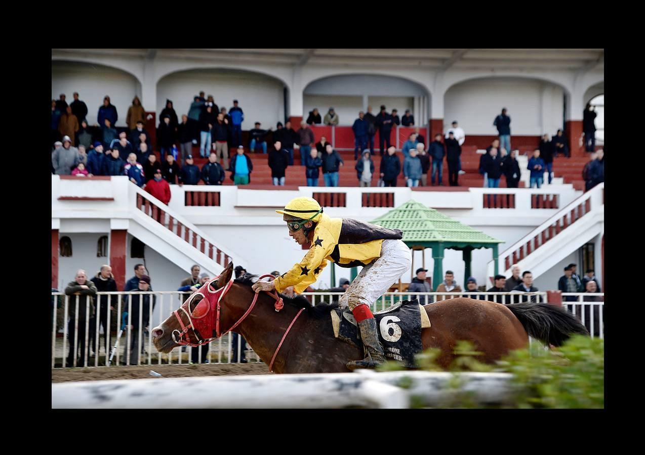 Hasta comienzos de la década de 1980 todos los fines de semana el hipódromo Caroubier, en Argel, recibía la visita de numerosos apostadores y espectadores entusiastas. Pero la equitación ha ido languideciendo en el país y el estadio, cuyas primeras carreras se remontan a 1909, durante la colonización francesa, fue perdiendo esplendor. La guerra civil en los 90 y el aumento del sentimiento religioso acabaron convirtiendo las pistas de carreras en lugares de pecado donde el juego estaba prohibido. Poco queda de un recinto que fue conocido como el «Petit Longchamp» en referencia a su homólogo parisino.