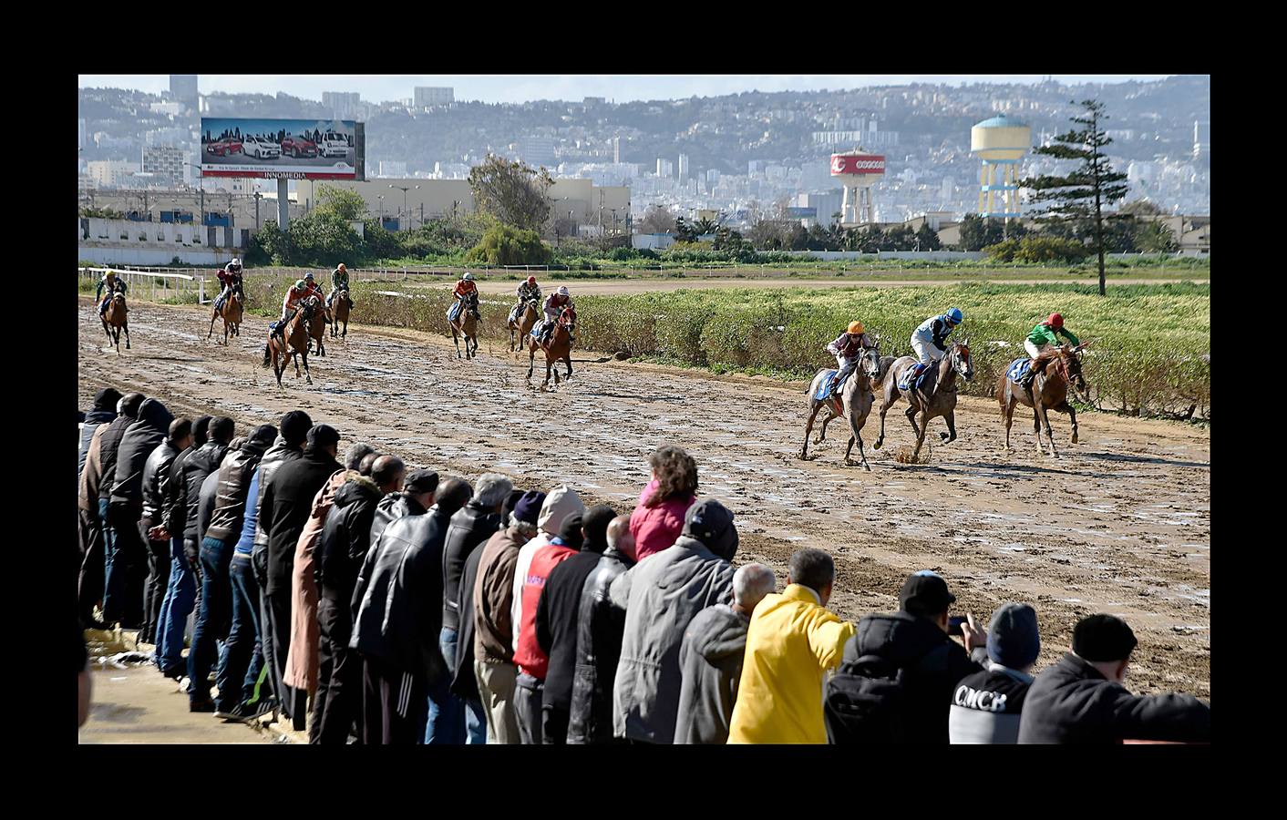 Hasta comienzos de la década de 1980 todos los fines de semana el hipódromo Caroubier, en Argel, recibía la visita de numerosos apostadores y espectadores entusiastas. Pero la equitación ha ido languideciendo en el país y el estadio, cuyas primeras carreras se remontan a 1909, durante la colonización francesa, fue perdiendo esplendor. La guerra civil en los 90 y el aumento del sentimiento religioso acabaron convirtiendo las pistas de carreras en lugares de pecado donde el juego estaba prohibido. Poco queda de un recinto que fue conocido como el «Petit Longchamp» en referencia a su homólogo parisino.