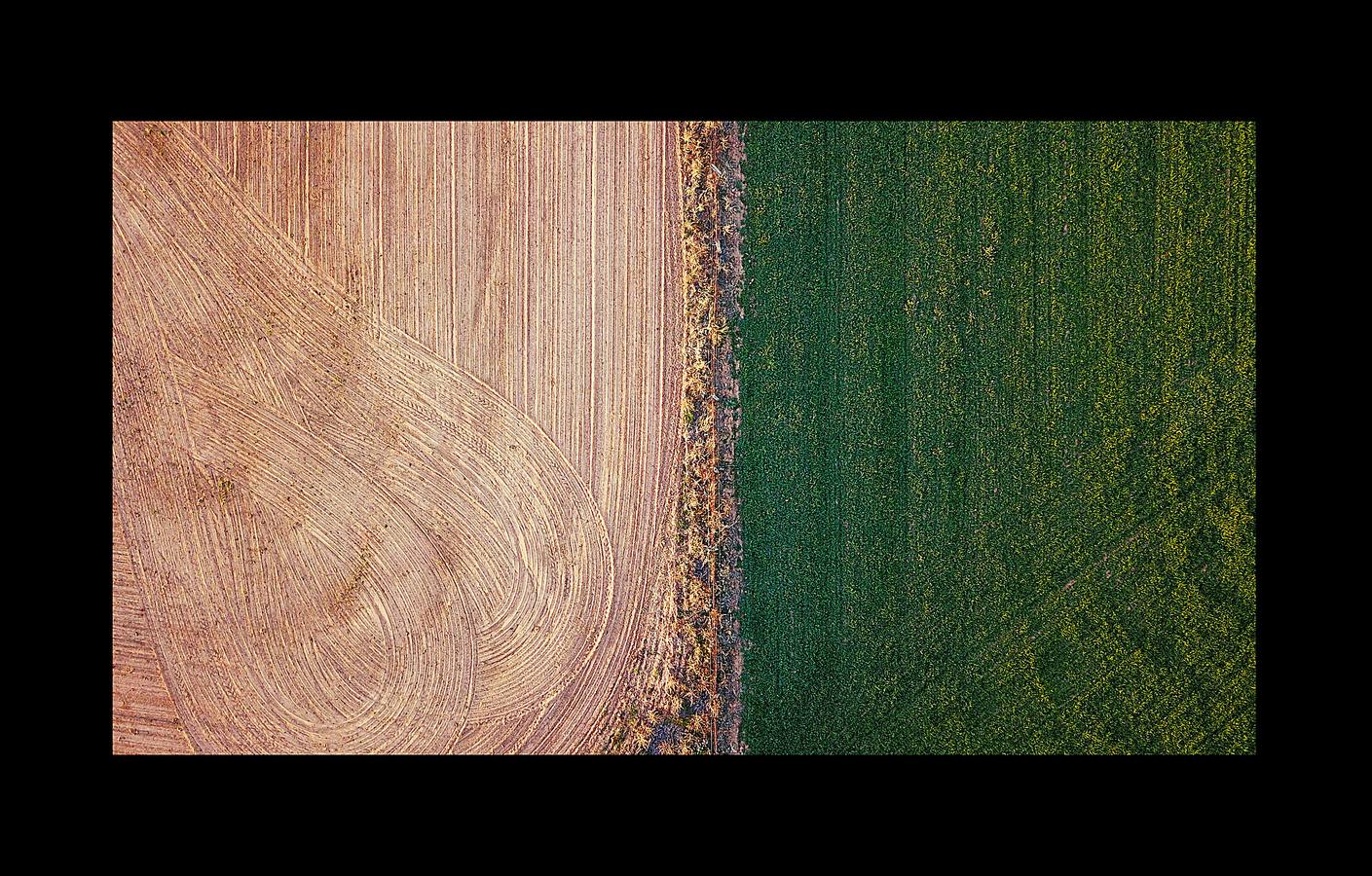 Desde el suelo, la sequía de Australia se ve como una mancha de polvo sin rasgos distintivos. Pero desde el aire, esta tierra que se agrieta bajo un sol abrasador, se transforma en una mezcla de colores y texturas que recuerdan a ciertas pinturas abstractas. La peor sequía que se recuerda está barriendo grandes zonas del país (el 95 % de Nueva Gales del Sur) y ha dejado a los agricultores haciéndose muchas preguntas sobre el futuro. «Las sequías se parecen a un cáncer que te consume, dicen algunos, y cada vez se vuelve más seco, más severo e impacta más en tu vida.»