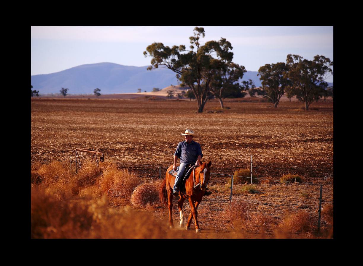 Desde el suelo, la sequía de Australia se ve como una mancha de polvo sin rasgos distintivos. Pero desde el aire, esta tierra que se agrieta bajo un sol abrasador, se transforma en una mezcla de colores y texturas que recuerdan a ciertas pinturas abstractas. La peor sequía que se recuerda está barriendo grandes zonas del país (el 95 % de Nueva Gales del Sur) y ha dejado a los agricultores haciéndose muchas preguntas sobre el futuro. «Las sequías se parecen a un cáncer que te consume, dicen algunos, y cada vez se vuelve más seco, más severo e impacta más en tu vida.»