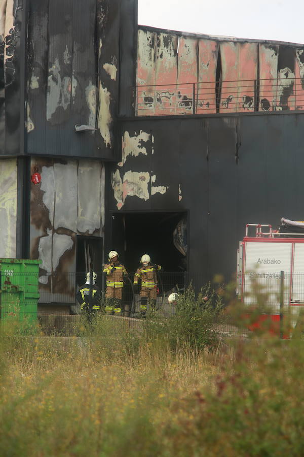 Fotos: Incendio en la planta de la quesería Aldanondo en Salvatierra