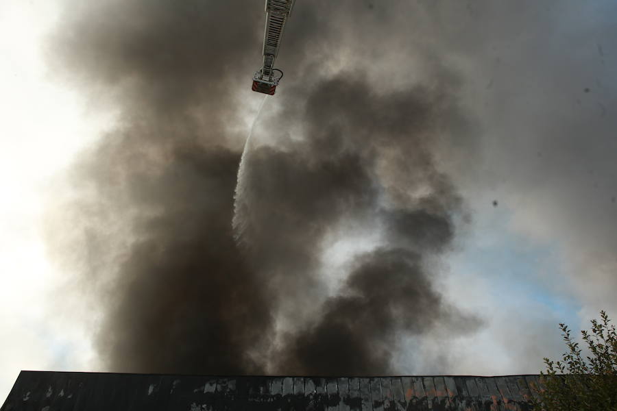 Fotos: Incendio en la planta de la quesería Aldanondo en Salvatierra