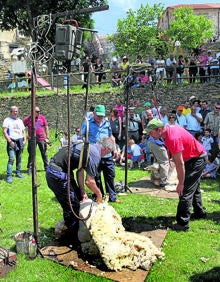 Imagen secundaria 2 - Escenas de esquileo y pasto.