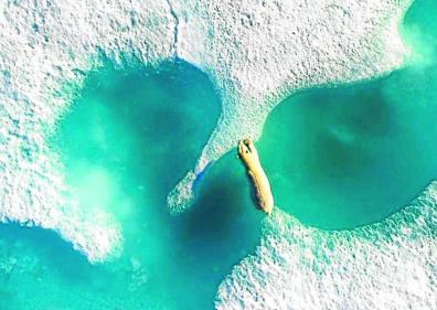 Imagen secundaria 1 - 1. 'Sombras patinadoras'. La mejor en la categoría de Deporte, fue tomada por Vicent Riemersma durante una maratón en Austria. / 2. Un oso polar salta entre dos placas de hielo en el norte de Canadá. Ganadora absoluta del certamen y realizada por Florian Ledoux / 3. 'Tiburón de punta negra'. Le rodea una legión de peces desovantes, en Bahamas. Vencedora en Vida Salvaje. Por Adam Barker