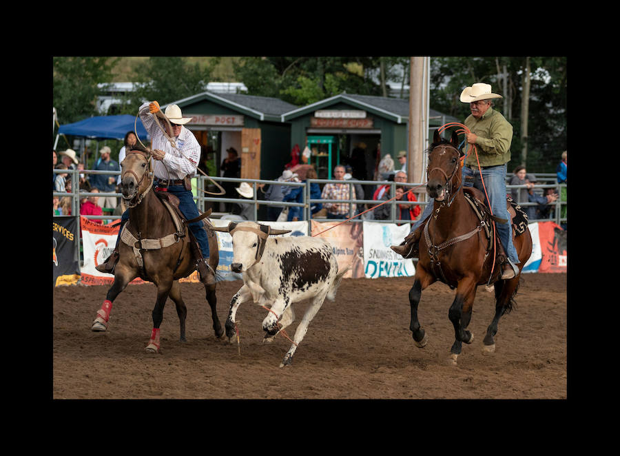 Un vaquero monta un caballo salvaje en el Snowmass Rodeo el 22 de agosto de 2018, en Snowmass, Colorado. - El rodeo de Snowmass está en su 45 ° año, lo que lo convierte en uno de los rodeos de más larga duración en Colorado. 