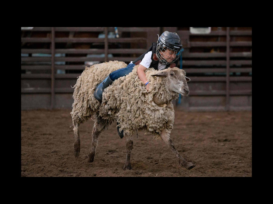 Un vaquero monta un caballo salvaje en el Snowmass Rodeo el 22 de agosto de 2018, en Snowmass, Colorado. - El rodeo de Snowmass está en su 45 ° año, lo que lo convierte en uno de los rodeos de más larga duración en Colorado. 