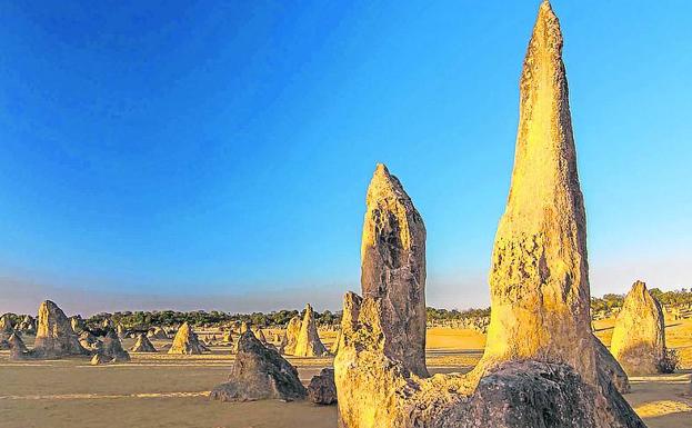 Fotografía de naturaleza. El desierto de los Pináculos (Australia) está plagado de 'colmillos' de piedra, cuyo origen es un misterio.