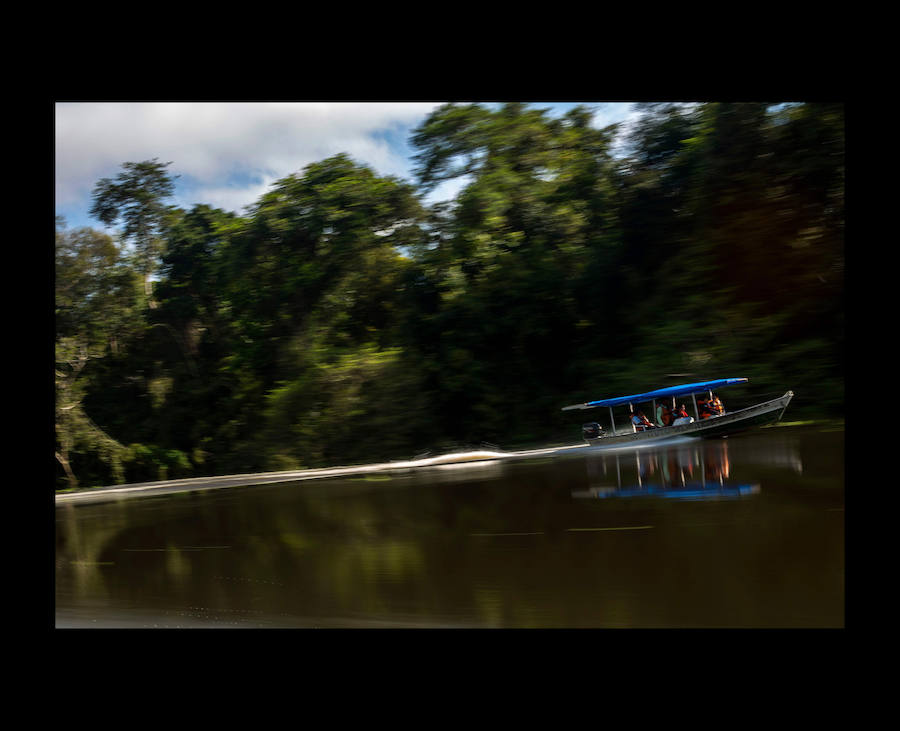 Científicos investigan sobre delfines de río en la Reserva de Desarrollo Sostenible Mamiragua en el estado de Amazonas, Brasil.
