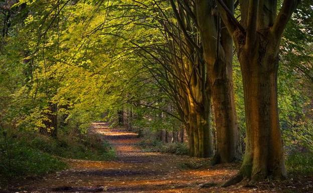 El parque de Akarlanda, en una imagen tomada el pasado otoño. 