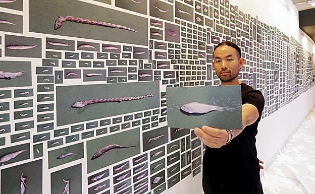 La naturaleza esquilmada es un recurso inquietante. La rotundidad de 'Equivalence. The Ecological Footprint of Fish', de Stephen Chow y Lin Huiyi, se despliega en una pared del Mercado de Algorta. Sus 4.000 imágenes revelan la depredación oceánica necesaria para producir en piscifactorías la corvina amarilla, el pescado más popular de China. Un kilo precisa de otros siete proporcionados por 39 especies menores.