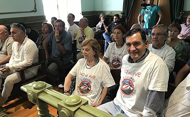 Miembros de la plataforma recientemente constituida asistieron al pleno ataviados con camisetas de rechazo al proyecto del AVE. 