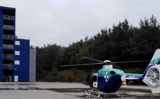 Accidente laboral en Mañaria: Evacuado en helicóptero un trabajador herido tras ser golpeado por un pino