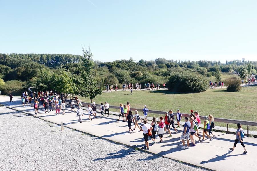 Fotos: La fotos de la VII Marche Solidaria Green de EL CORREO