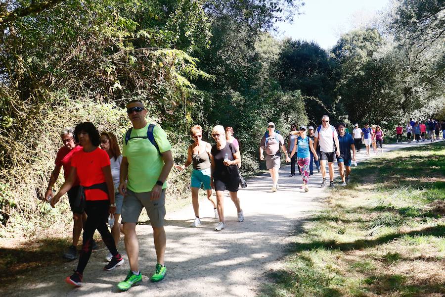 Fotos: La fotos de la VII Marche Solidaria Green de EL CORREO