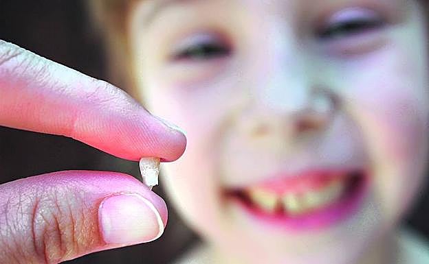 Un niño observa el diente de leche que se le ha caído. 