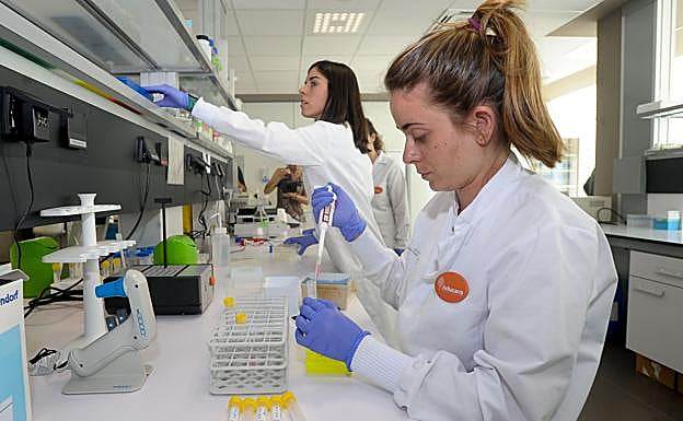 Investigadoras en el campus de Leioa de la UPV. 