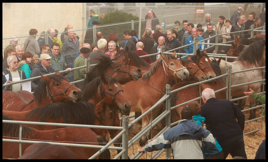 Fotos: La feria de Salvatierra, en imágenes