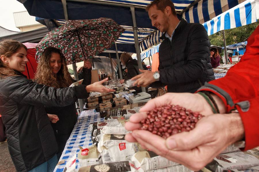 Fotos: Cientos de visitantes rinden culto a la sabrosa pinta alavesa en Pobes