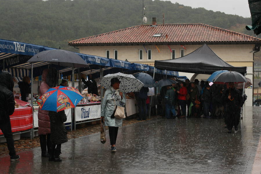 Fotos: Cientos de visitantes rinden culto a la sabrosa pinta alavesa en Pobes