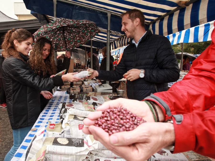 Fotos: Cientos de visitantes rinden culto a la sabrosa pinta alavesa en Pobes