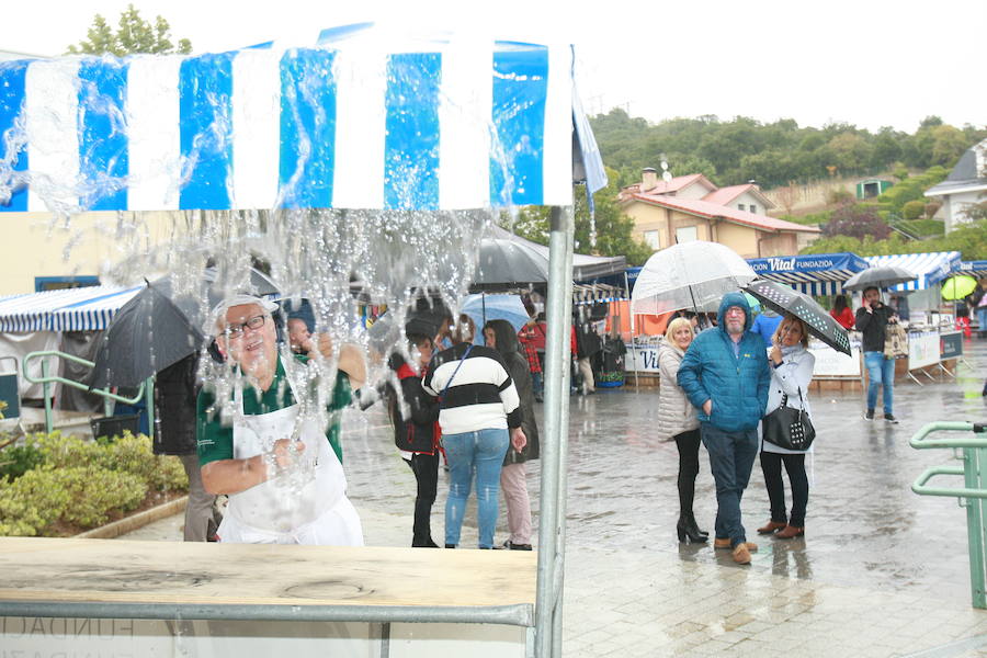 Fotos: Cientos de visitantes rinden culto a la sabrosa pinta alavesa en Pobes