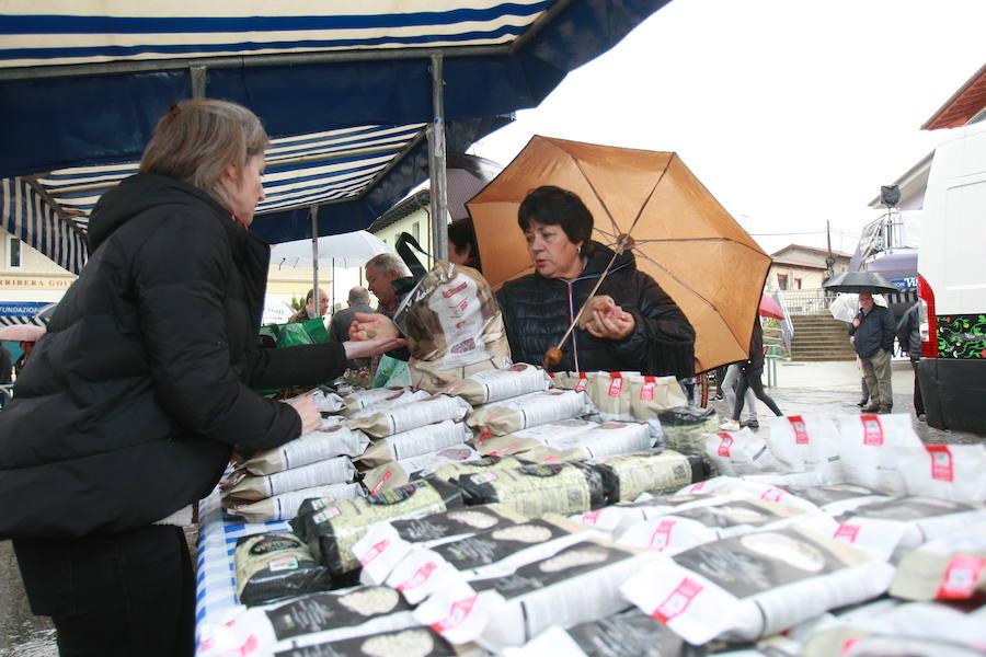 Fotos: Cientos de visitantes rinden culto a la sabrosa pinta alavesa en Pobes