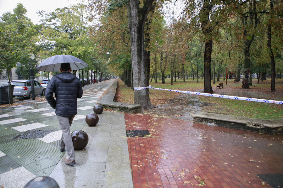 Fotos: Viento, lluvia intensa y balsas de agua en este domingo en Vitoria