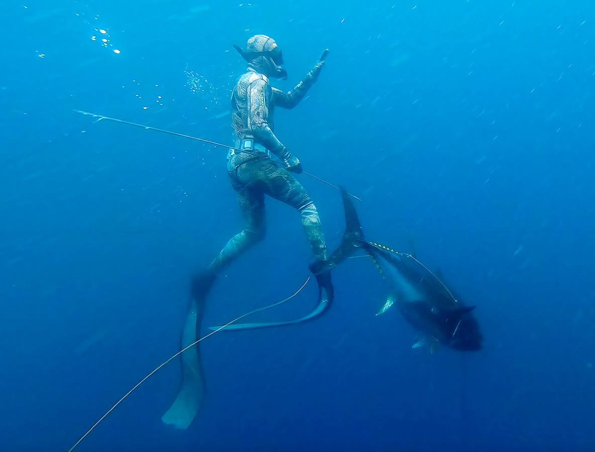 A principios de septiembre, Ryder Devoe, de 19 años, emergió de las azules aguas de San Diego con su neopreno de camuflaje, gritando: «lo atrapé». Un hermoso ejemplar de atún rojo de más de 90 kilos, una especie que apenas se veía en las costas californianas desde hacía décadas, había sido alcanzado por su arpón. Devoe, a quien además del buceo libre también apasiona el surf, se siente feliz. «Este año mi objetivo es cabalgar las olas más grandes de México y capturar otro atún de aleta amarilla.»