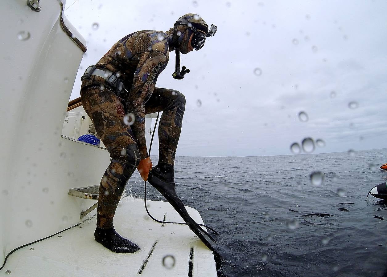 A principios de septiembre, Ryder Devoe, de 19 años, emergió de las azules aguas de San Diego con su neopreno de camuflaje, gritando: «lo atrapé». Un hermoso ejemplar de atún rojo de más de 90 kilos, una especie que apenas se veía en las costas californianas desde hacía décadas, había sido alcanzado por su arpón. Devoe, a quien además del buceo libre también apasiona el surf, se siente feliz. «Este año mi objetivo es cabalgar las olas más grandes de México y capturar otro atún de aleta amarilla.»