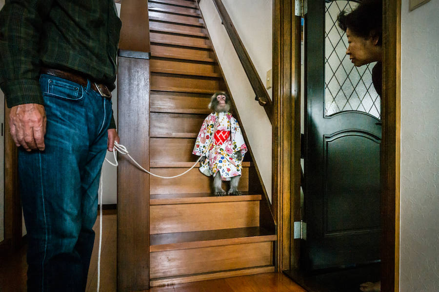 La exposición lleva a Montehermoso los mejores trabajos del fotoperiodismo internacional