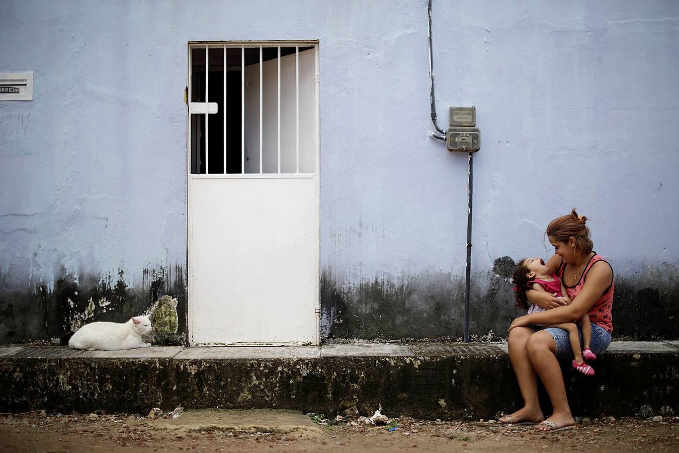 Tres años después de que un brote de zika en Brasil causara miles de casos de microcefalia y otros problemas en los recién nacidos, el primer virus transmitido por mosquitos que daña a los fetos en desarrollo ha desaparecido de los titulares. Pero algunas madres que tuvieron hijos con problemas han sido abandonadas por sus maridos y luchan por sobrevivir con un cheque mensual por discapacidad de poco más de 250 dólares. 