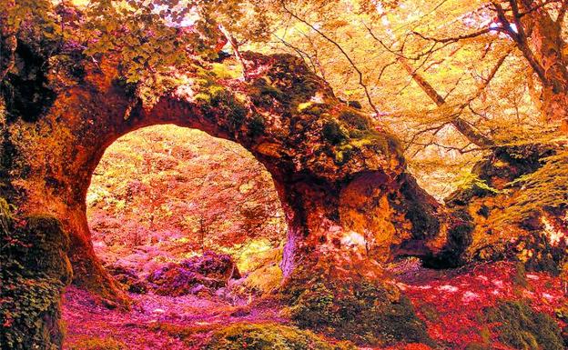 Arco natural en el hayedo de la sierra de Entzia.Debajo, el dolmen de Sorginetxe, en la Llanada alavesa.