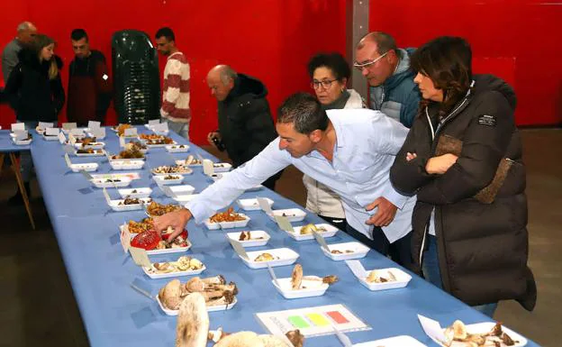 El público asistente a la muestra en la Fábrica de Tornillos pudo contemplar cerca de 180 tipos de setas. 