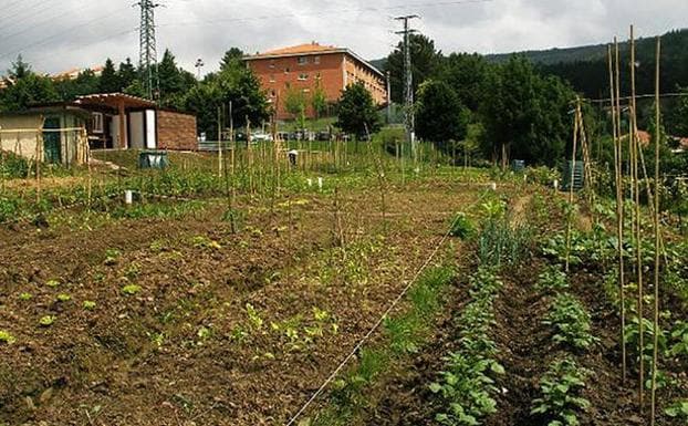 Los galdakaotarras dispondrán este año de diez nuevas parcelas para cultivar sus propias verduras y hortalizas. 