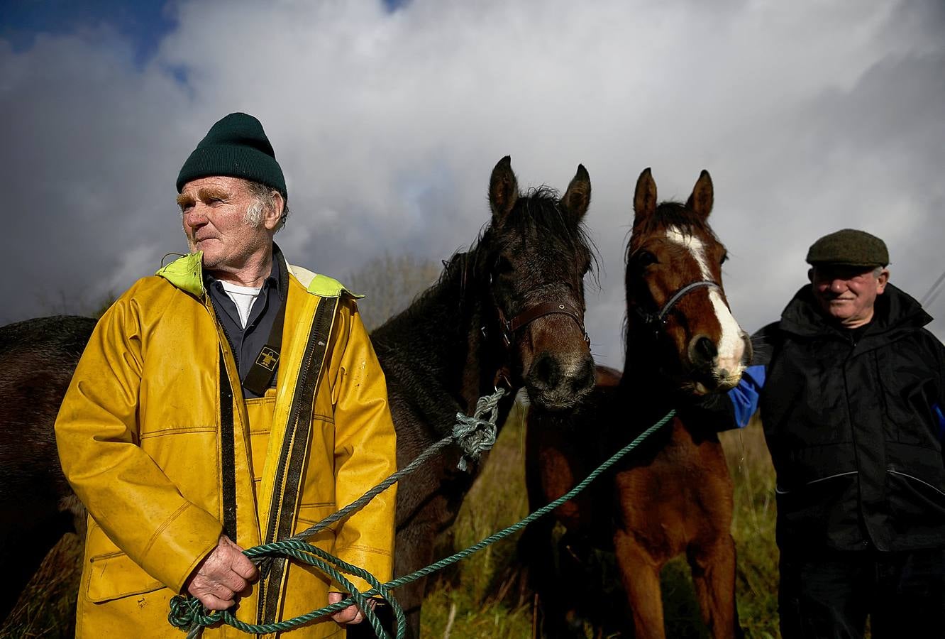 Maam Cross es una encrucijada en Connemara, condado de Galway, Irlanda. En ella se desarrolla una de las ferias agrícolas y de ganado más tradicionales en la que los granjeros locales venden los excedentes de producción para complementar sus exiguos ingresos. Este año premiará al mejor de los populares ponis de Connemara y quienes asistan podrán participar en el campeonato de lanzamiento de herradura. 