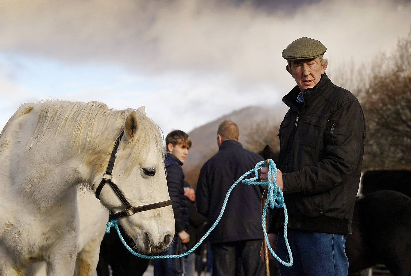 Maam Cross es una encrucijada en Connemara, condado de Galway, Irlanda. En ella se desarrolla una de las ferias agrícolas y de ganado más tradicionales en la que los granjeros locales venden los excedentes de producción para complementar sus exiguos ingresos. Este año premiará al mejor de los populares ponis de Connemara y quienes asistan podrán participar en el campeonato de lanzamiento de herradura. 