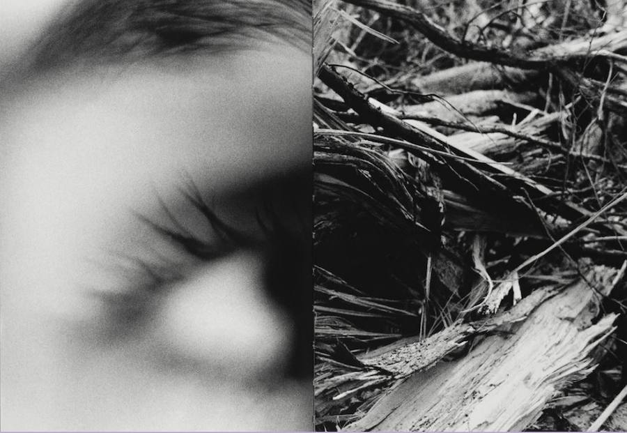 VIPHOTOFEST es la nueva denominación de VIPHOTO, y es que en esta VII edicióndeja atrás el formato de feria para transformarse en un festival de fotografíacontemporánea. El ciclo, que se desarrollará hasta el 20 de enero, tiene como meta apostar por la fotografía contemporánea. Se interesa en cómo las generaciones actuales aportan su visión del mundo y los nuevos relatos que acontecen.