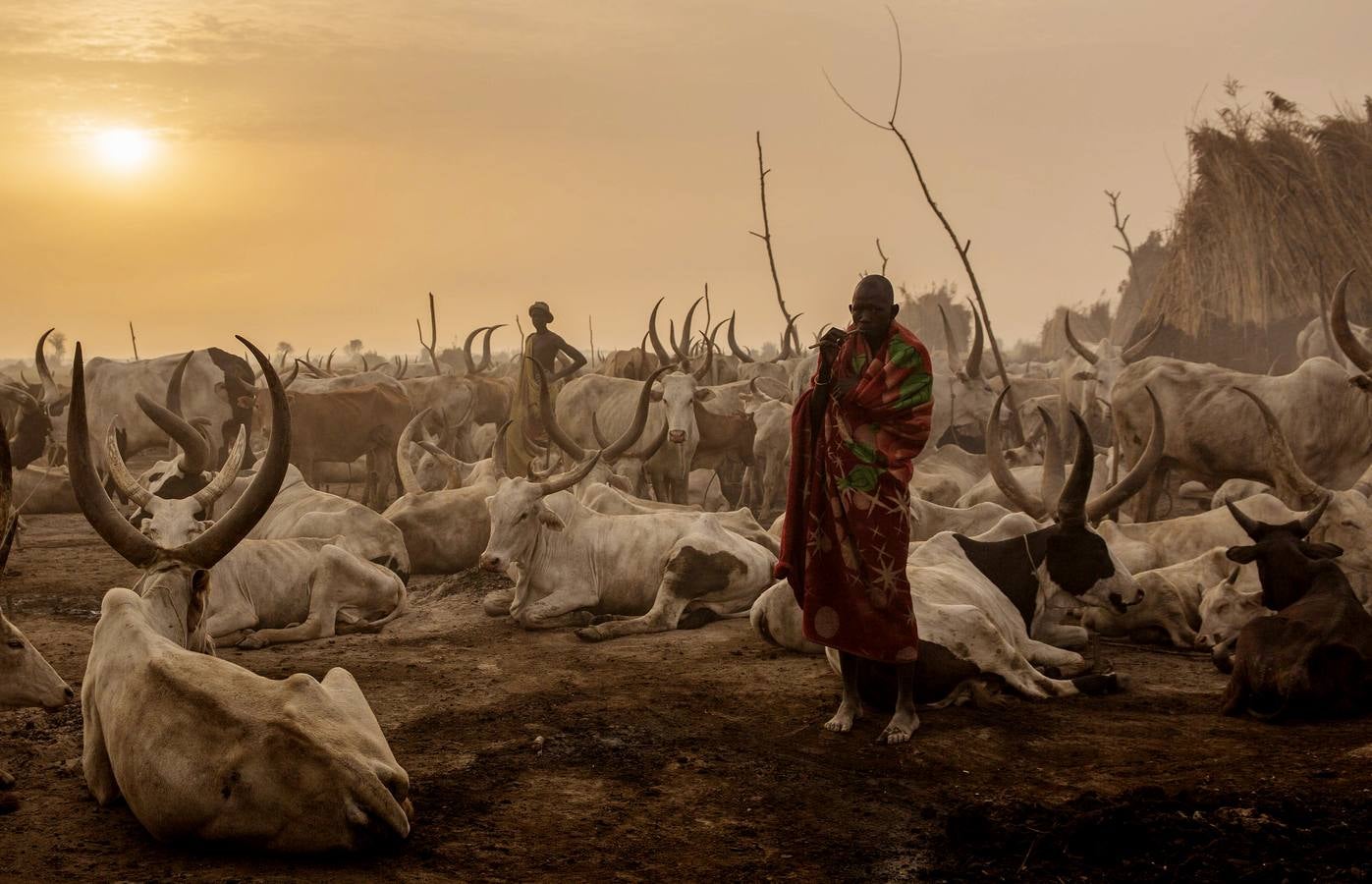 Un sudanés de la tribu Dinka, en su campamento de ganado en Mingkaman, Estado de los Lagos, Sudán del Sur.