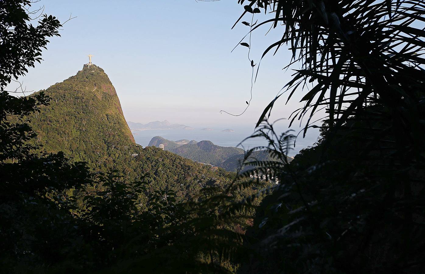 Hoy comienza el verano austral. Pero las playas de Río de Janeiro ya están llenas de bañistas desde hace unas semanas. Y es que el calor aprieta. El martes los termómetros alcanzaron 40,7 grados en la zona oeste de la ciudad, en el que ha sido el día más caluroso en varios años, con una sensación térmica de 45 grados. El mar está calmado y apenas hay olas en las transparentes aguas. Las imágenes han sido tomadas en la Floresta de Tijuca, el bosque urbano más grande del mundo, y en los arenales del oeste de Río.