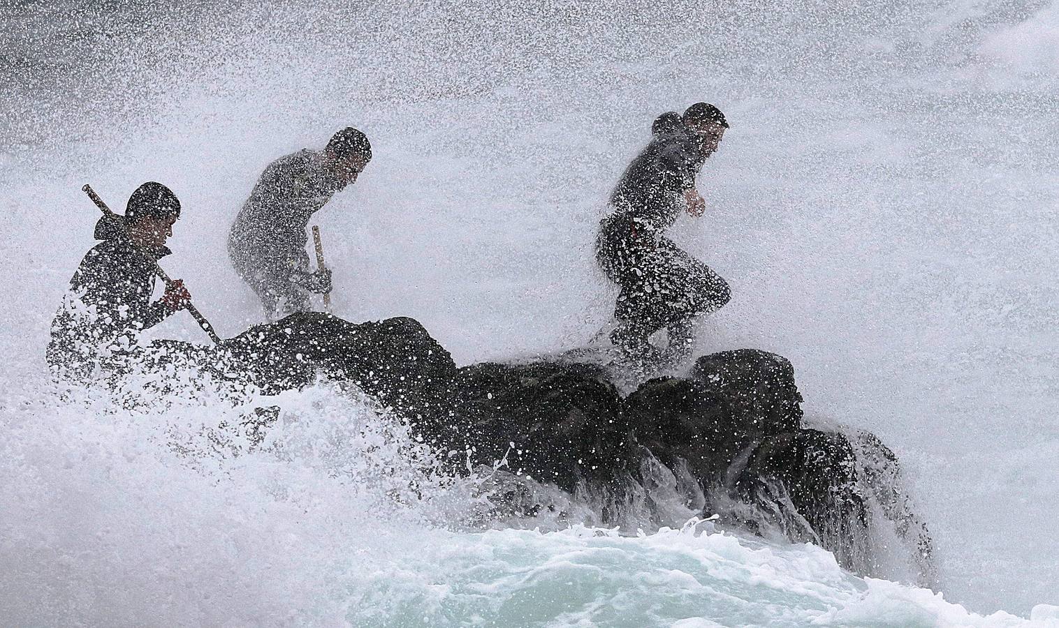 Tal vez sean las rocas o la bravura del mar. Los percebes de cabo Roncudo, en la llamada Costa de la Muerte, son los mejores del mundo. Y también los más caros. Los percebeiros arriesgan sus vidas encaramándose a las rocas cubiertas de lapas y minchas, entre el rugido de heladas olas batiendo los acantilados. Solo les está permitido faenar tres horas al día: dos horas antes de la bajamar y una después. En invierno se pueden capturar hasta cinco o seis kilos de percebes al día.