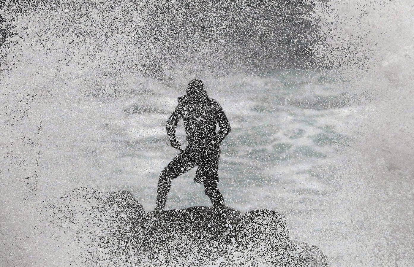 Tal vez sean las rocas o la bravura del mar. Los percebes de cabo Roncudo, en la llamada Costa de la Muerte, son los mejores del mundo. Y también los más caros. Los percebeiros arriesgan sus vidas encaramándose a las rocas cubiertas de lapas y minchas, entre el rugido de heladas olas batiendo los acantilados. Solo les está permitido faenar tres horas al día: dos horas antes de la bajamar y una después. En invierno se pueden capturar hasta cinco o seis kilos de percebes al día.